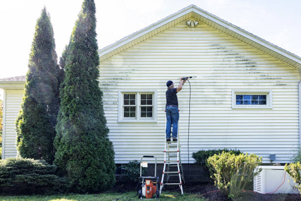 Best Local Pressure Washing Services  in Pomona Park, FL