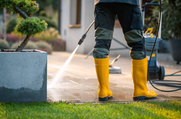 Best Affordable Power Washing  in Pomona Park, FL